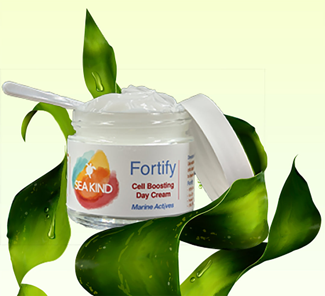 Fortify Cell Boosting Day Cream – 2 oz | Sea Kind